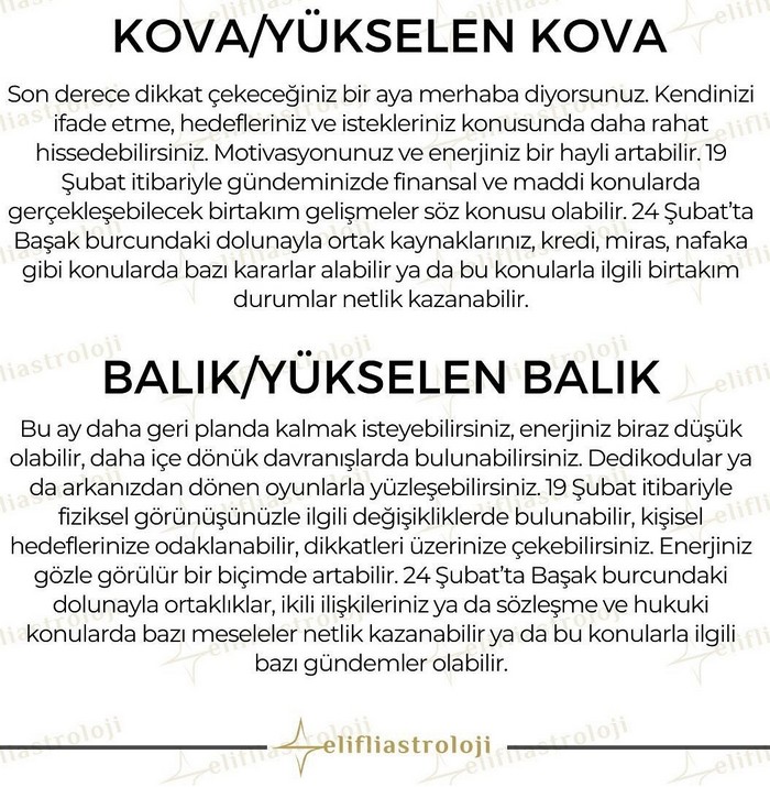 şubat34 (1).jpg