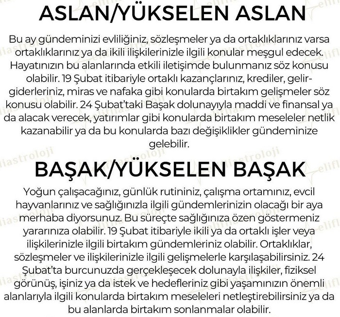 şubat34 (4).jpg