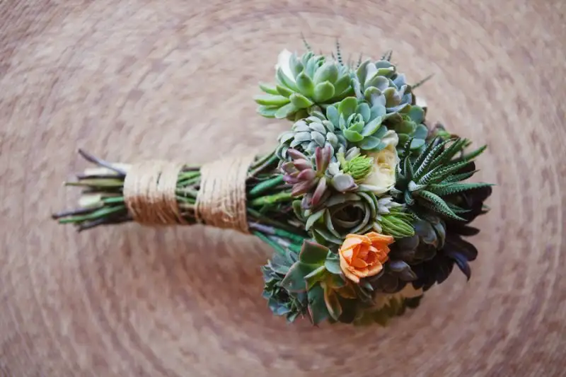 succulent-arrangements-stephanie-williams-project-wedding-camille-styles.webp