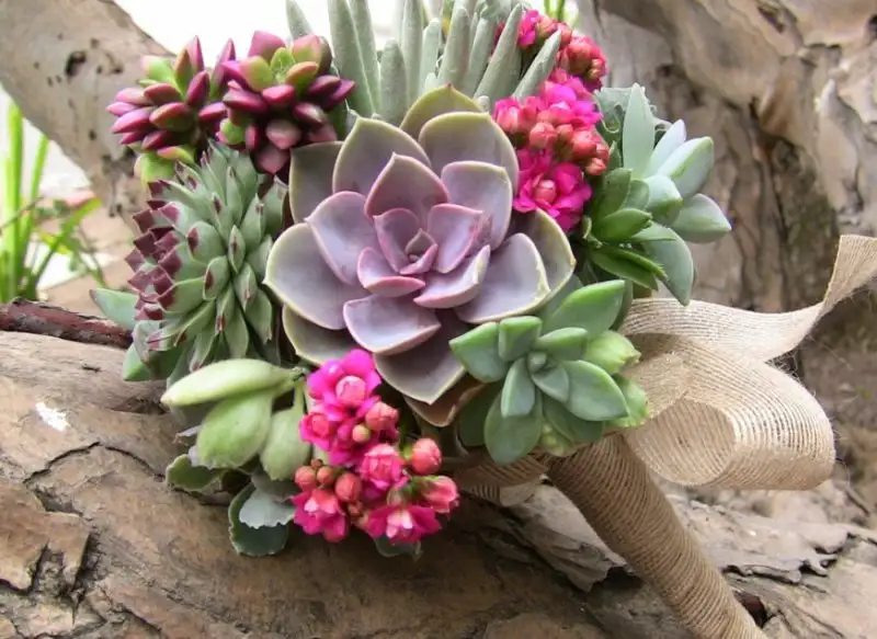 Succulent-bouquet-003-e1422567210781.webp