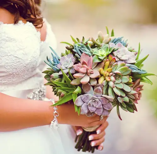 succulent-bouquet (1).webp