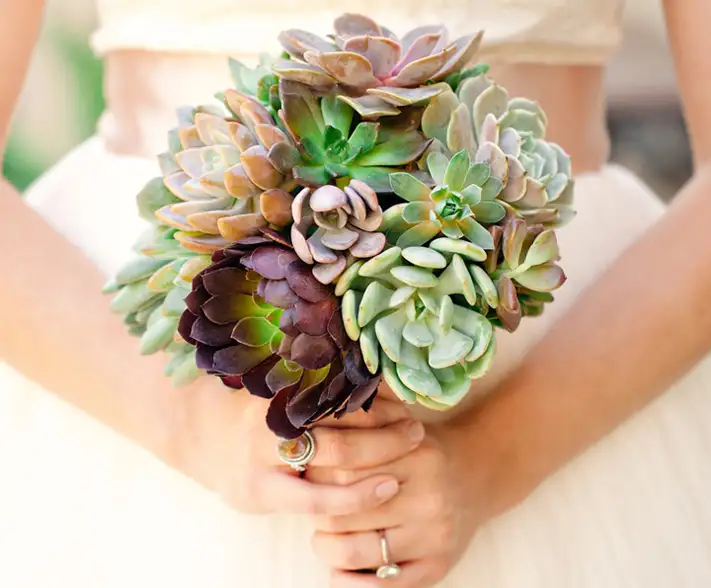 succulent-wedding-bouquet-237.webp