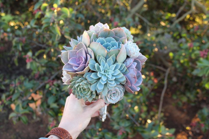 succulent_bouquet_wedding_bride_bouquets_2_2000x.jpg