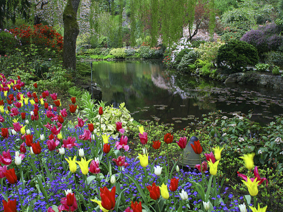 sunken_garden__butchart_gardens__victoria__british_columbia__canada.jpg