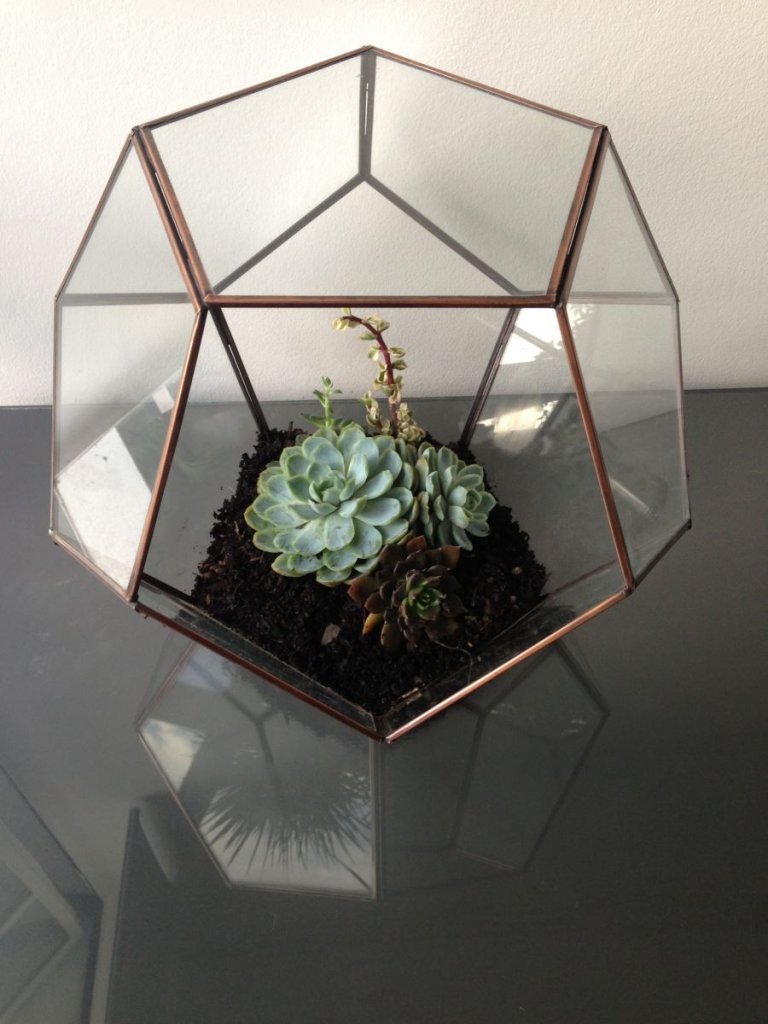 terrarium-finished-e1375095245709.jpg