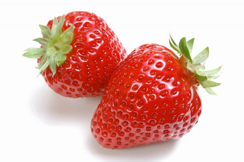 tessenderlo-agrochem-bitki-rehberi-cilek-strawberry-016.jpg