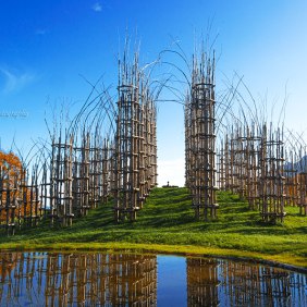 tree-cathedral-cattedrale-vegetale-giuliano-mauri-13.jpg