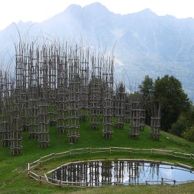 tree-cathedral-cattedrale-vegetale-giuliano-mauri-14.jpg