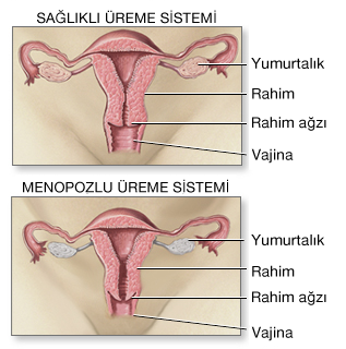 tup-bebekte-dogru-teshis-ile-ilk-seferde-basari-1.png