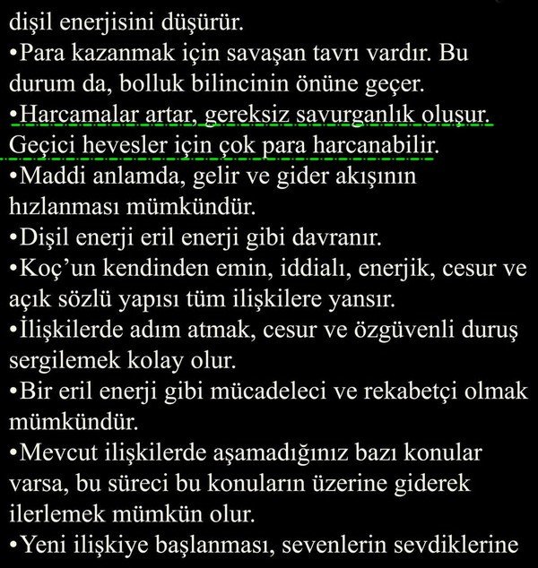 ven koç5 (4).jpg