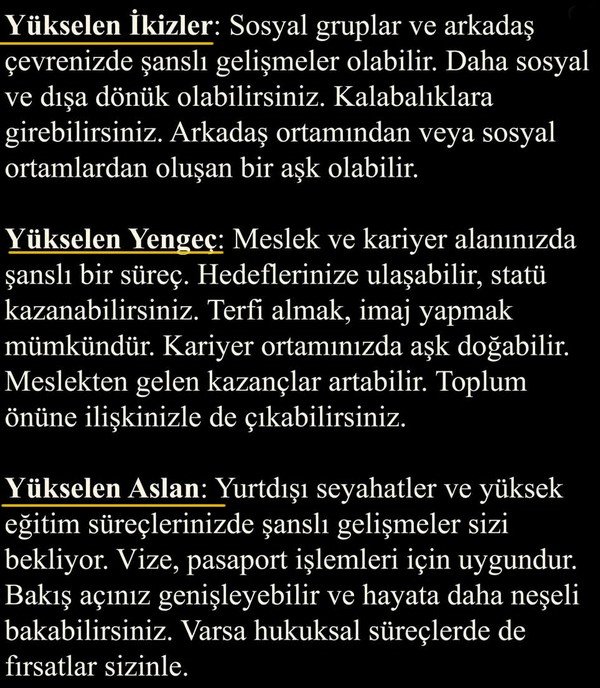 ven koç5 (7).jpg