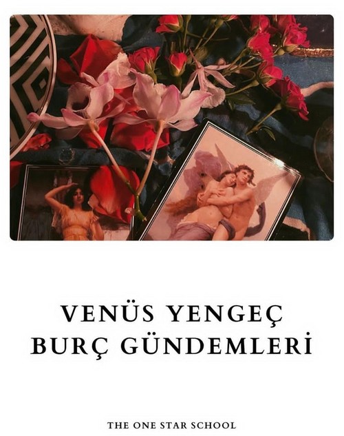 ven yengeç1 (1).jpg