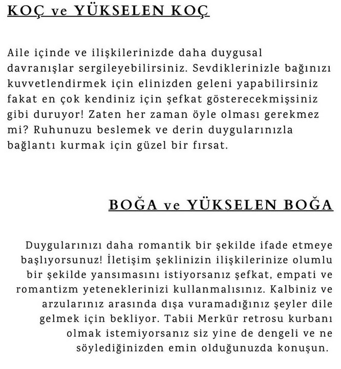 ven yengeç1 (2).jpg