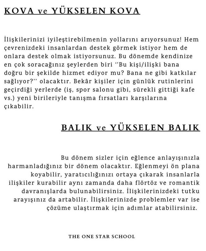 ven yengeç1 (7).jpg