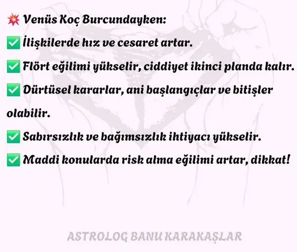 venkoç4 (2).webp