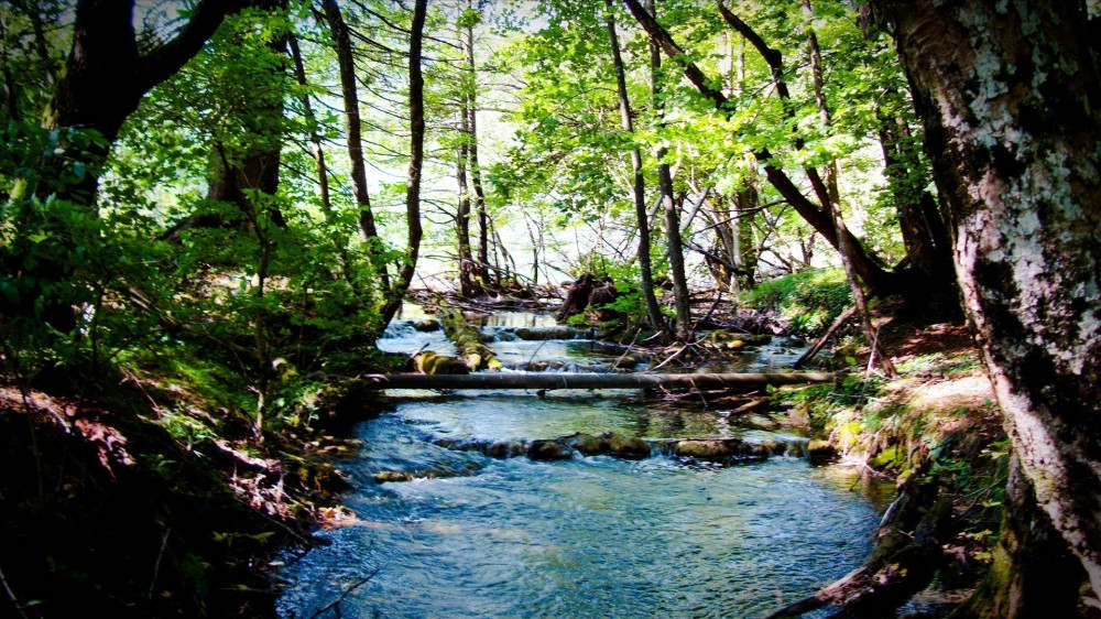 wild-river-plitvice-lakes-national-park-croatia.jpg