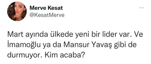 yıllık mart.jpg