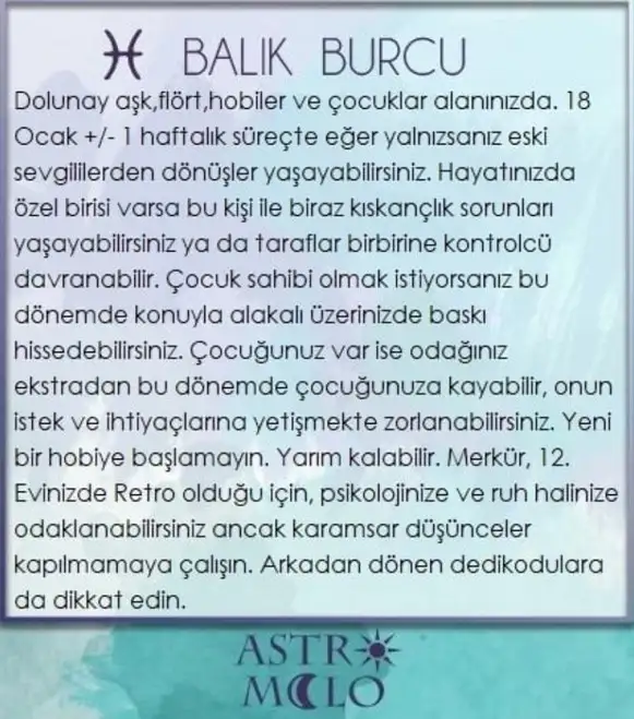 yengeç1 (12).webp