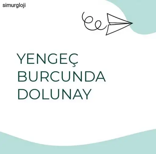 yengeç21 (1).webp