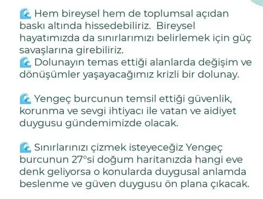 yengeç21 (3).webp