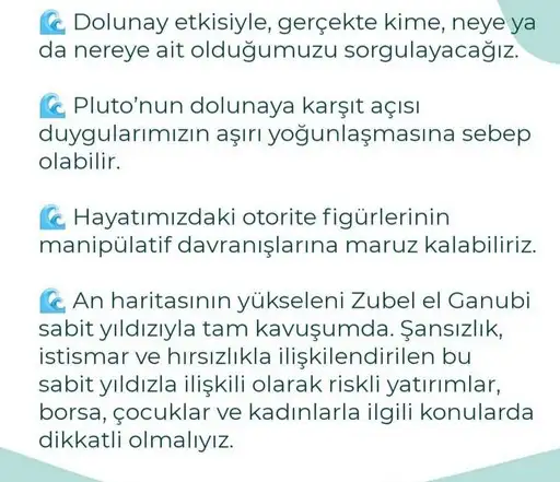 yengeç21 (4).webp