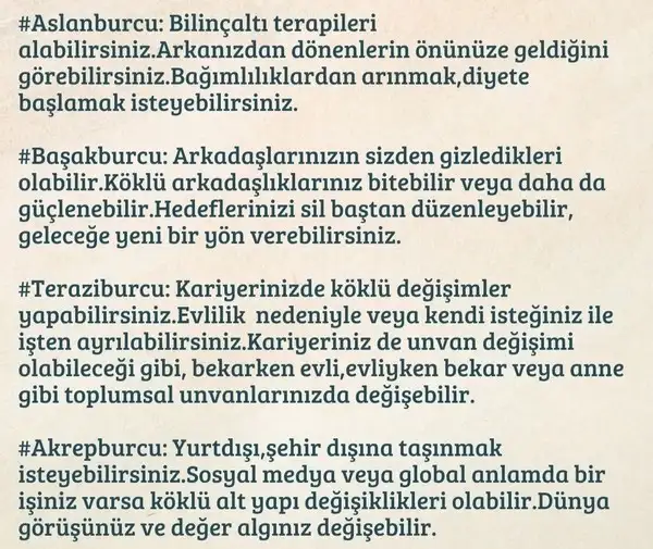 yengeç24 (2).webp