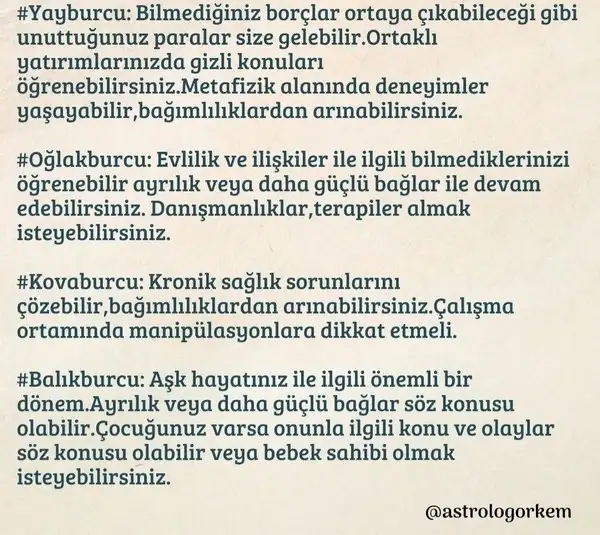 yengeç24 (3).webp