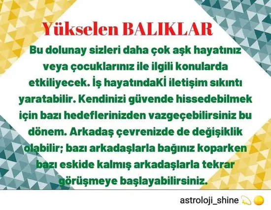 yengeç25 (12).webp