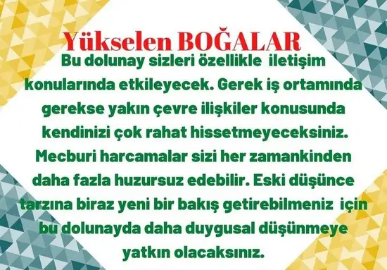 yengeç25 (2).webp