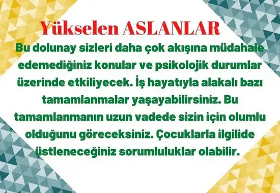 yengeç25 (5).webp