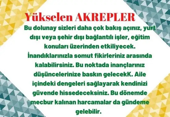 yengeç25 (8).webp