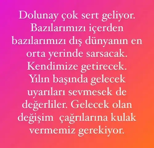 yengeç29 (1).webp