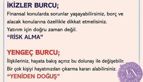 yengeç3 (2).webp