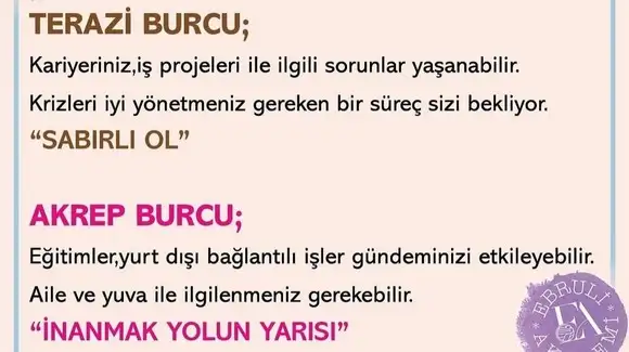 yengeç3 (4).webp