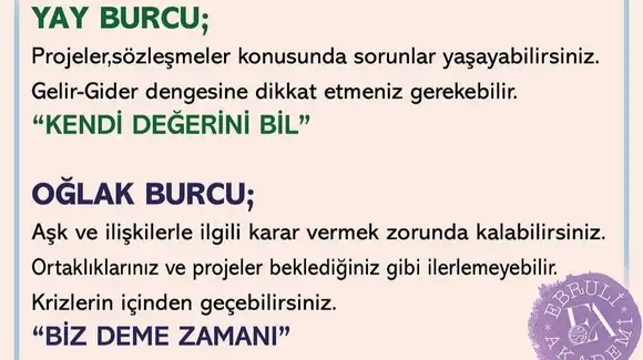 yengeç3 (5).webp