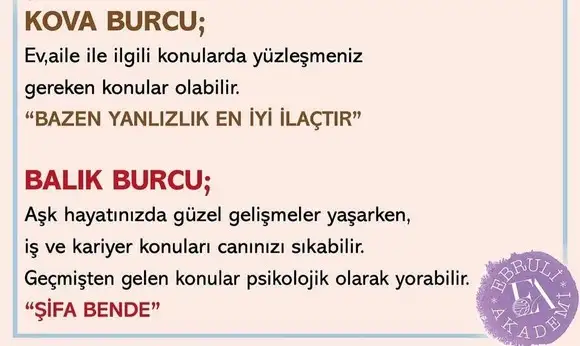 yengeç3 (6).webp