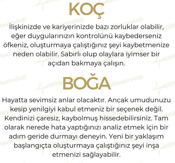 yıl21 (2).jpg