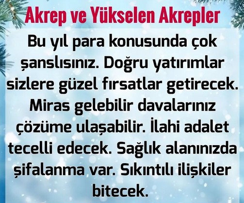 yıl28 (12).jpg