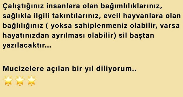 yıl60 (44).jpg