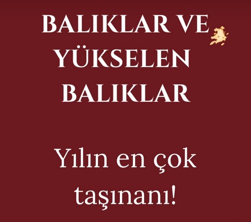 yıl61 (15).jpg