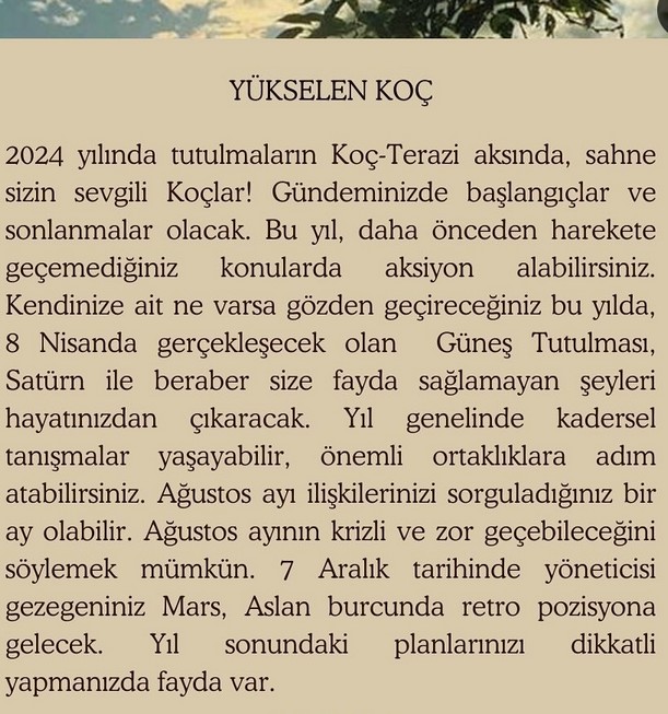 yıl66 (2).jpg