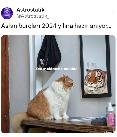 yıl7 5.jpg