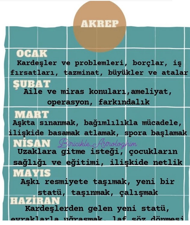 yıllık1 (8).jpg