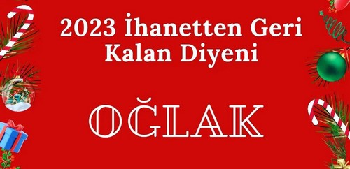 yıllık10 (10).jpg