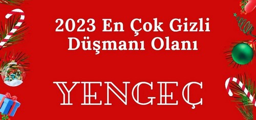 yıllık10 (4).jpg