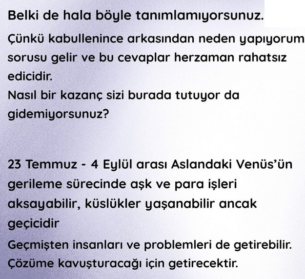 yıllık12 (28).jpg