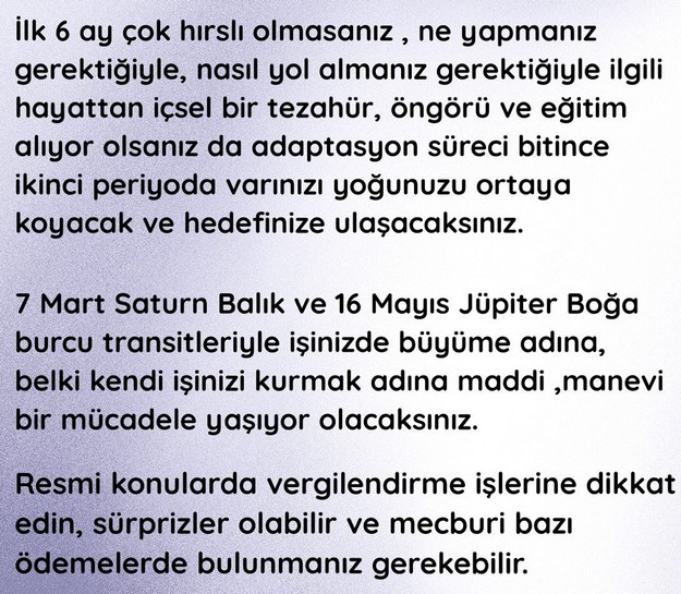 yıllık12 (32).jpg