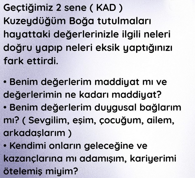 yıllık12 (5).jpg