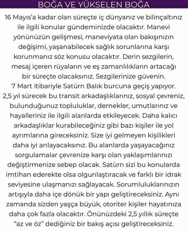 yıllık13 (5).jpg