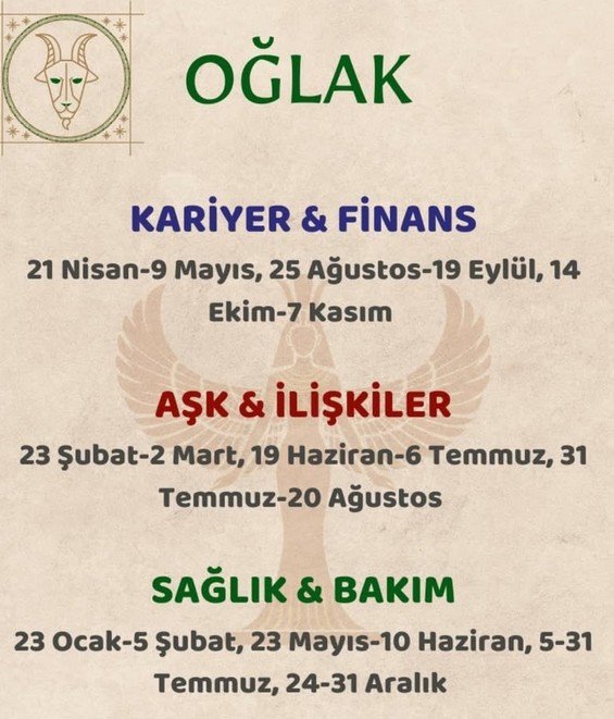 yıllık19 (11).jpg